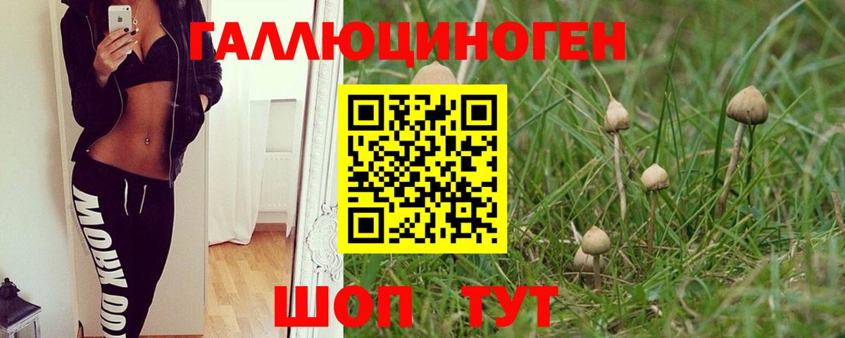 Псилоцибиновые грибы Magic Shrooms  Вход с VPN  Тосно 