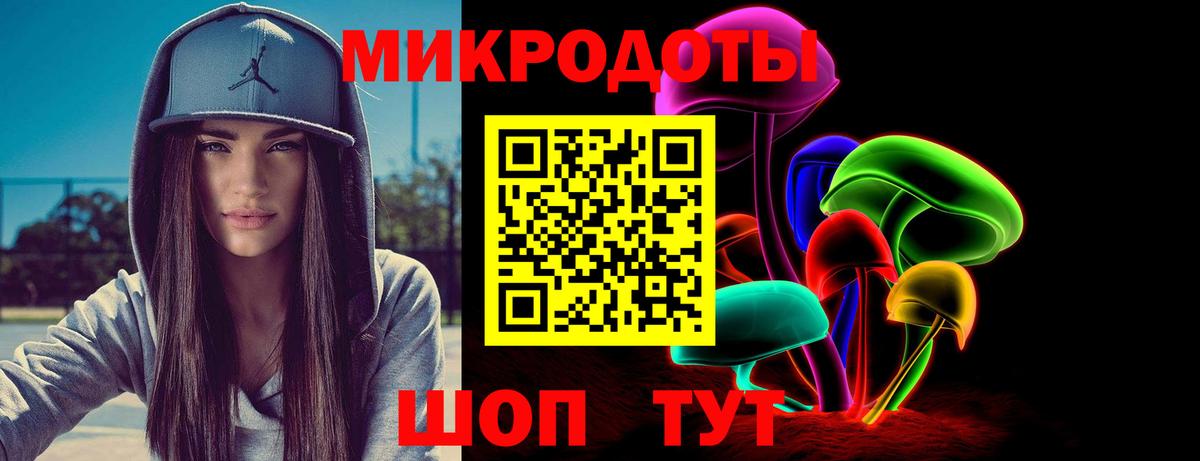 Галлюциногенные грибы Psilocybine cubensis Тосно